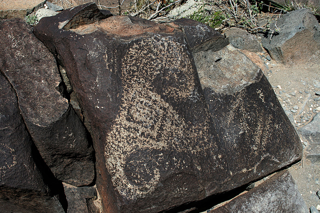 Three Rivers Petroglyphs (5904)