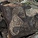 Three Rivers Petroglyphs (5904)