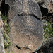 Three Rivers Petroglyphs (5908)
