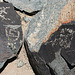 Three Rivers Petroglyphs (5912)