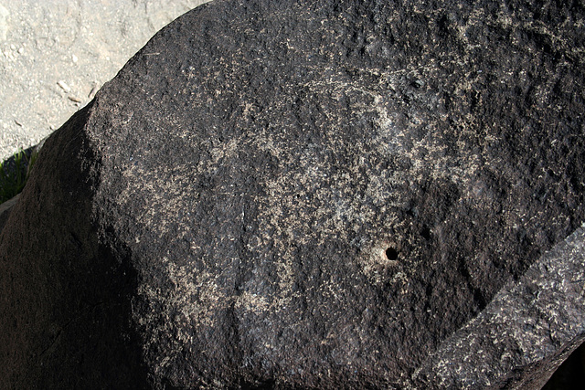 Three Rivers Petroglyphs (5914)