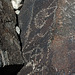 Three Rivers Petroglyphs (5915)