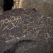 Three Rivers Petroglyphs (5916)