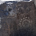 Three Rivers Petroglyphs (5918)