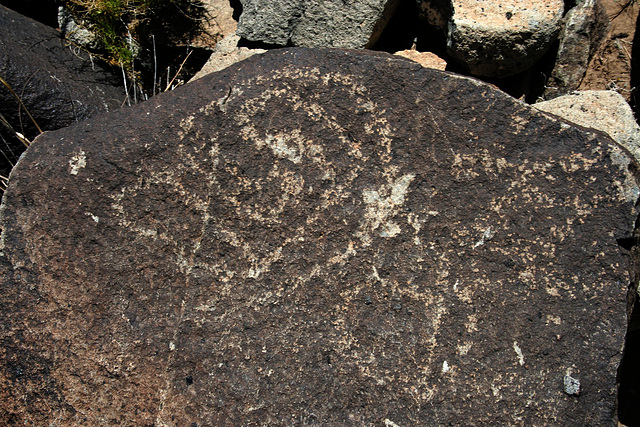Three Rivers Petroglyphs (5920)