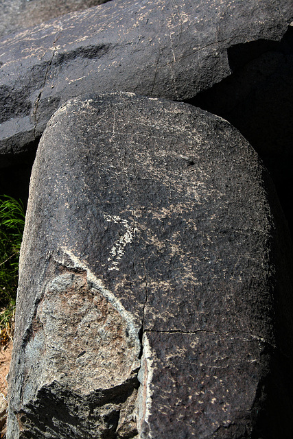 Three Rivers Petroglyphs (5922)
