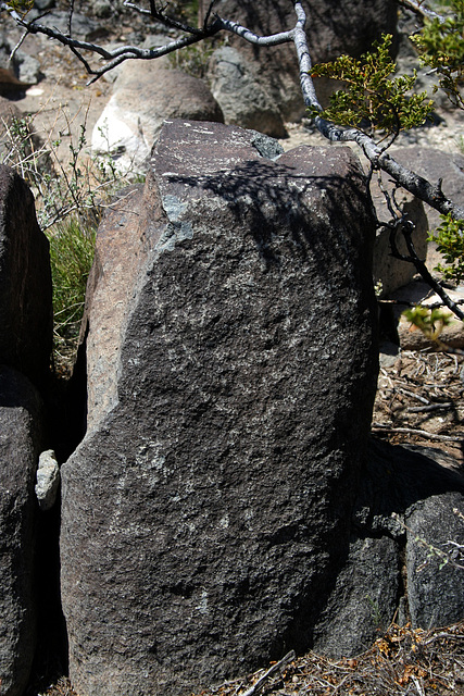 Three Rivers Petroglyphs (5923)