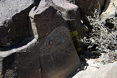 Three Rivers Petroglyphs (5925)