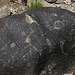 Three Rivers Petroglyphs (5926)