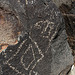 Three Rivers Petroglyphs (5928)