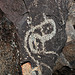Three Rivers Petroglyphs (5929)