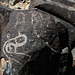 Three Rivers Petroglyphs (5931)
