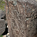 Three Rivers Petroglyphs (5933)