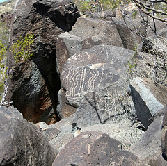 Three Rivers Petroglyphs (5937)