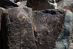 Three Rivers Petroglyphs (5939)