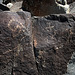 Three Rivers Petroglyphs (5939)