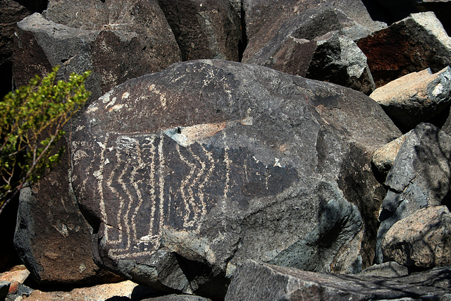 Three Rivers Petroglyphs (5941)