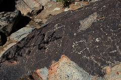 Three Rivers Petroglyphs (5943)