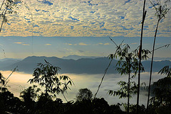 Panoramic view between the cloudscape