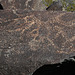 Three Rivers Petroglyphs (5946)