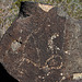 Three Rivers Petroglyphs (5947)