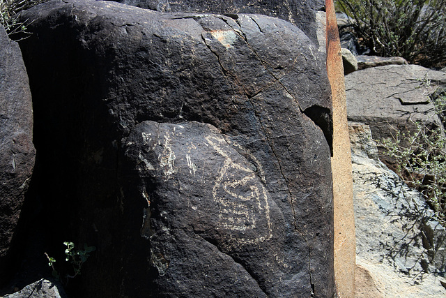 Three Rivers Petroglyphs (5952)