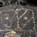 Three Rivers Petroglyphs (5956)