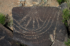 Three Rivers Petroglyphs (5960)