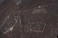 Three Rivers Petroglyphs (5961)