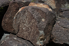 Three Rivers Petroglyphs (5964)