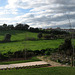 Benfica, a farm in the middle of the city (3)