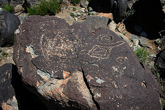 Three Rivers Petroglyphs (5965)
