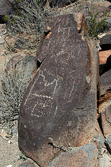 Three Rivers Petroglyphs (5966)