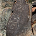 Three Rivers Petroglyphs (5966)