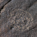 Three Rivers Petroglyphs (5968)