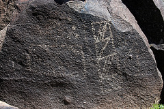 Three Rivers Petroglyphs (5969)