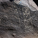 Three Rivers Petroglyphs (5969)