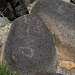 Three Rivers Petroglyphs (5972)