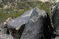 Three Rivers Petroglyphs (5975)