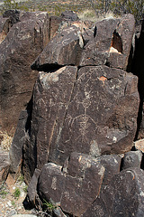 Three Rivers Petroglyphs (5977)