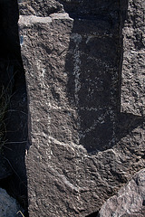 Three Rivers Petroglyphs (5978)