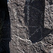 Three Rivers Petroglyphs (5978)