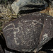 Three Rivers Petroglyphs (5979)