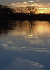 Pond at sunset 2