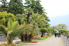 Seepromenade von Menaggio