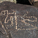 Three Rivers Petroglyphs (5983)