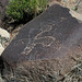 Three Rivers Petroglyphs (5984)