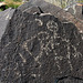 Three Rivers Petroglyphs (5990)