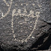 Three Rivers Petroglyphs (5992)