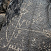Three Rivers Petroglyphs (5993)